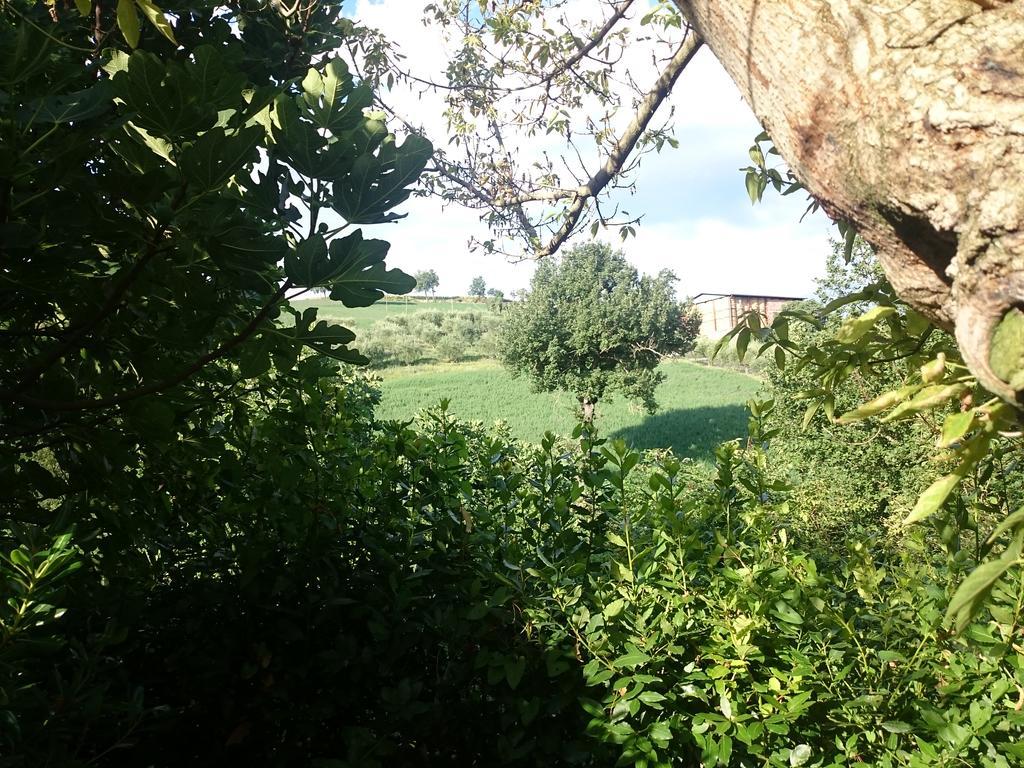 Country House Villa Sabrina San Ginesio Extérieur photo